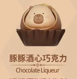 Dolphin Chocolate Series