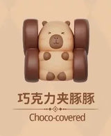 Dolphin Chocolate Series