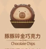 Dolphin Chocolate Series
