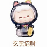 Lucky cat series joint name