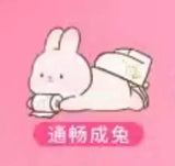 Touch the rabbit and enjoy life series