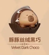 Dolphin Chocolate Series