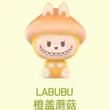 The full range of Labubu collection