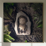 Fragile Forest Series