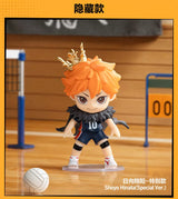 Volleyball Junior!! Pause and Rest Time Series Figure Ornament Gift