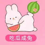 Momo Rabbit Touch Rabbit Fun Enjoy Life Series