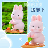 Yoyo Rabbit Outing Series
