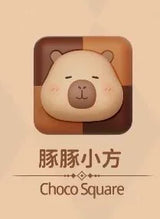 Dolphin Chocolate Series