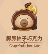 Dolphin Chocolate Series