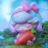 Forest Night Series
